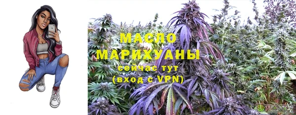 хмурый Арсеньев