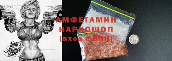 хмурый Арсеньев