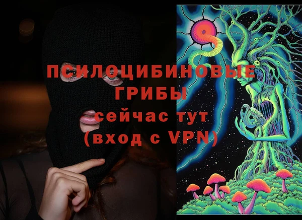 молекула духа Алзамай