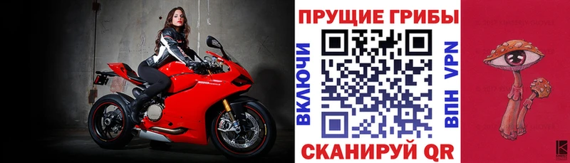 где можно купить   Саки  Псилоцибиновые грибы мухоморы 